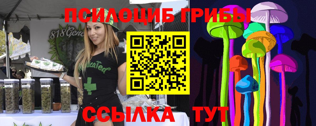 Туапсе  Псилоцибиновые грибы GOLDEN TEACHER  Вход с VPN  Галлюциногенные грибы Cubensis 